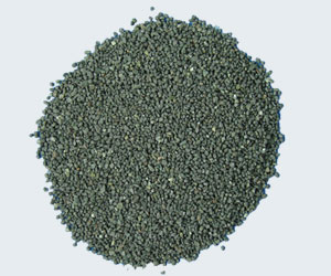 ���F�V�V��